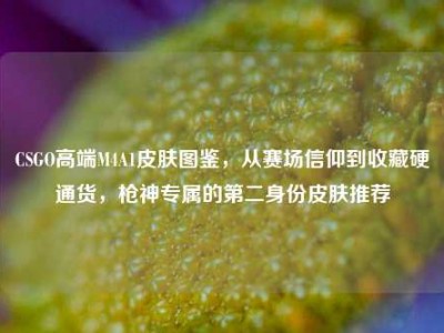 CSGO高端M4A1皮肤图鉴，从赛场信仰到收藏硬通货，枪神专属的第二身份皮肤推荐