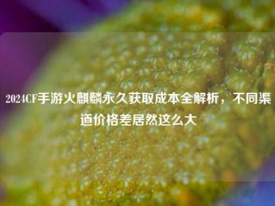 2024CF手游火麒麟永久获取成本全解析，不同渠道价格差居然这么大