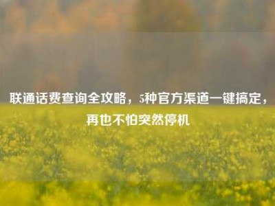 联通话费查询全攻略，5种官方渠道一键搞定，再也不怕突然停机