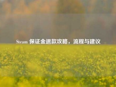 Steam 保证金退款攻略，流程与建议