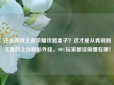 还在瞎找王者荣耀攻略盒子？这才是从青铜到王者的上分隐形外挂，90%玩家都没搞懂在哪！