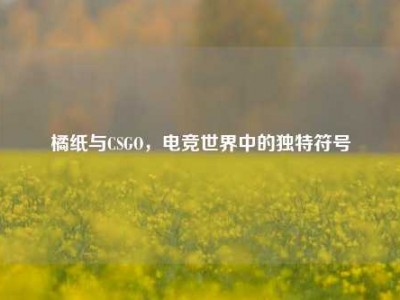 橘纸与CSGO，电竞世界中的独特符号
