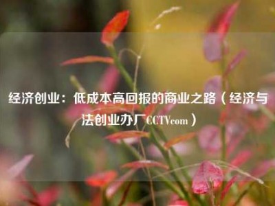 经济创业：低成本高回报的商业之路（经济与法创业办厂CCTVcom）