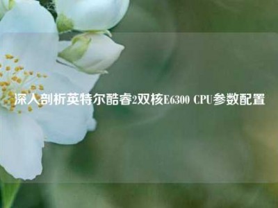 深入剖析英特尔酷睿2双核E6300 CPU参数配置