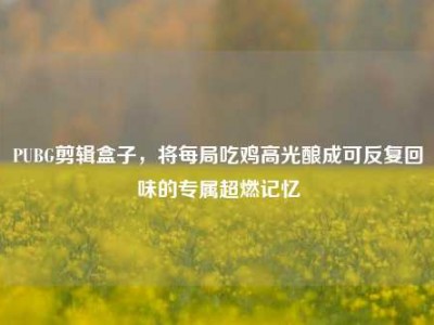PUBG剪辑盒子，将每局吃鸡高光酿成可反复回味的专属超燃记忆