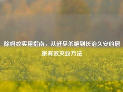 除蚂蚁实用指南，从赶尽杀绝到长治久安的居家有效灭蚁方法