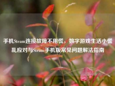 手机Steam连接故障不用慌，数字游戏生活小慌乱应对与Steam手机版常见问题解法指南