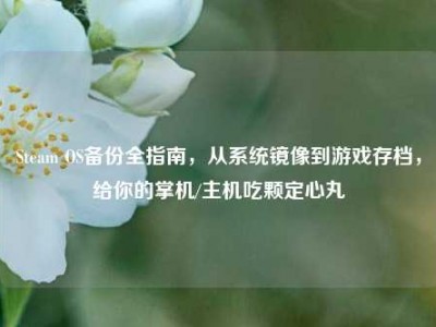 Steam OS备份全指南，从系统镜像到游戏存档，给你的掌机/主机吃颗定心丸