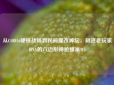 从COD16硬核战场到民间魔改神坛，刻进老玩家DNA的六边形神枪蜂巢M4