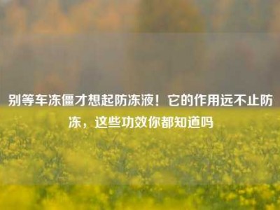 别等车冻僵才想起防冻液！它的作用远不止防冻，这些功效你都知道吗