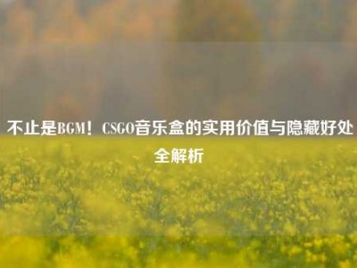 不止是BGM！CSGO音乐盒的实用价值与隐藏好处全解析