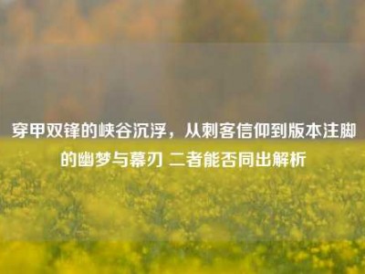 穿甲双锋的峡谷沉浮，从刺客信仰到版本注脚的幽梦与幕刃 二者能否同出解析