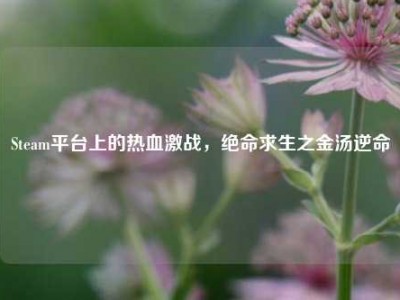 Steam平台上的热血激战，绝命求生之金汤逆命