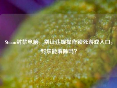 Steam封禁电脑，别让违规操作锁死游戏入口，封禁能解除吗？