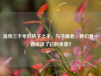 流传三千年的执子之手，与子偕老，我们竟一直误读了它的本意？