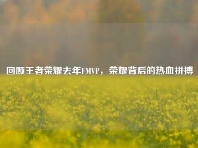回顾王者荣耀去年FMVP，荣耀背后的热血拼搏