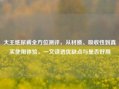 大王纸尿裤全方位测评，从材质、吸收性到真实使用体验，一文讲透优缺点与是否好用