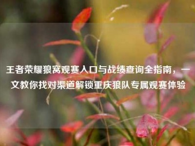 王者荣耀狼窝观赛入口与战绩查询全指南，一文教你找对渠道解锁重庆狼队专属观赛体验
