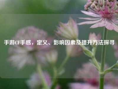 手游CF手感，定义、影响因素及提升方法探寻