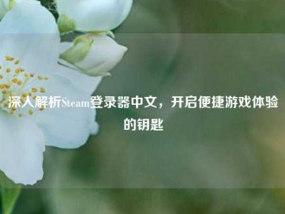 深入解析Steam登录器中文，开启便捷游戏体验的钥匙