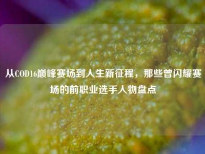 从COD16巅峰赛场到人生新征程，那些曾闪耀赛场的前职业选手人物盘点