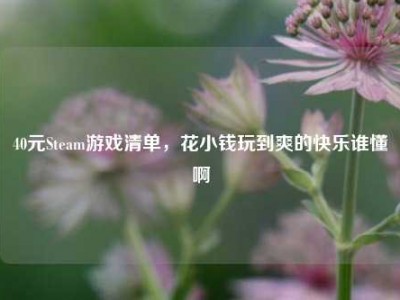 40元Steam游戏清单，花小钱玩到爽的快乐谁懂啊