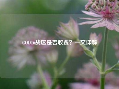 COD16战区是否收费？一文详解