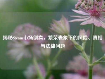 揭秘Steam市场倒卖，繁荣表象下的风险、真相与法律问题