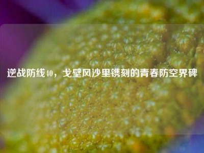 逆战防线40，戈壁风沙里镌刻的青春防空界碑