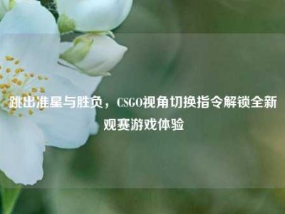 跳出准星与胜负，CSGO视角切换指令解锁全新观赛游戏体验