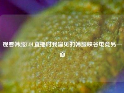 观看韩服LOL直播时我窥见的韩服峡谷电竞另一面