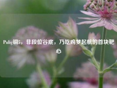 Pubg铜5，非段位谷底，乃吃鸡梦起航的首块靶心