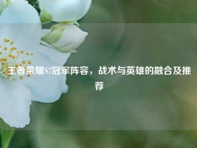 王者荣耀S7冠军阵容，战术与英雄的融合及推荐