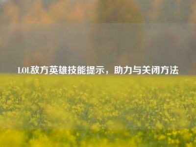 LOL敌方英雄技能提示，助力与关闭方法