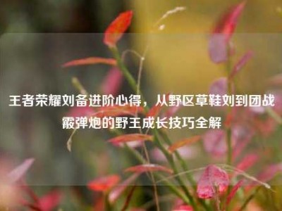 王者荣耀刘备进阶心得，从野区草鞋刘到团战霰弹炮的野王成长技巧全解