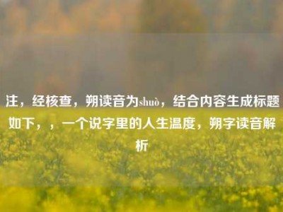 注，经核查，朔读音为shuò，结合内容生成标题如下，，一个说字里的人生温度，朔字读音解析