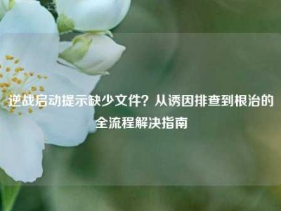逆战启动提示缺少文件？从诱因排查到根治的全流程解决指南