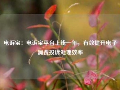 电诉宝：电诉宝平台上线一年，有效提升电子消费投诉处理效率