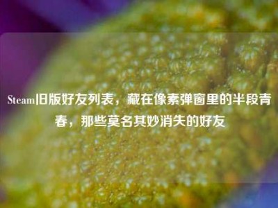 Steam旧版好友列表，藏在像素弹窗里的半段青春，那些莫名其妙消失的好友