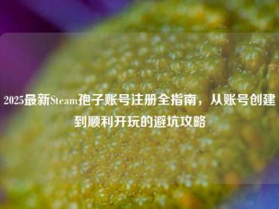 2025最新Steam孢子账号注册全指南，从账号创建到顺利开玩的避坑攻略