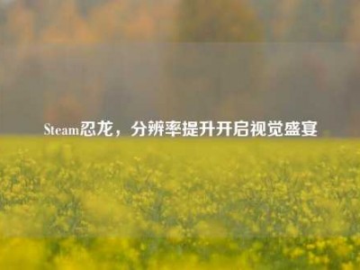 Steam忍龙，分辨率提升开启视觉盛宴