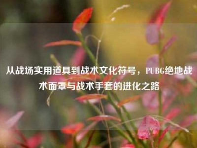 从战场实用道具到战术文化符号，PUBG绝地战术面罩与战术手套的进化之路