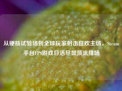 从硬核试验场到全球玩家射击狂欢主场，Steam平台FPS游戏日活尽显顶流排场