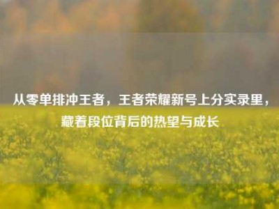 从零单排冲王者，王者荣耀新号上分实录里，藏着段位背后的热望与成长