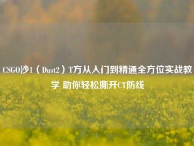 CSGO沙1（Dust2）T方从入门到精通全方位实战教学 助你轻松撕开CT防线
