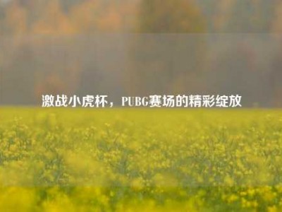 激战小虎杯，PUBG赛场的精彩绽放