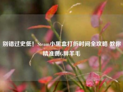 别错过史低！Steam小黑盒打折时间全攻略 教你精准薅G胖羊毛