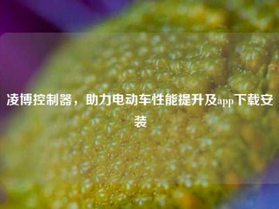 凌博控制器，助力电动车性能提升及app下载安装