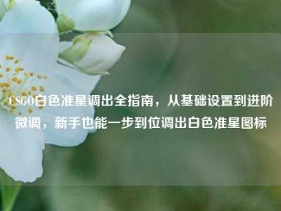 CSGO白色准星调出全指南，从基础设置到进阶微调，新手也能一步到位调出白色准星图标