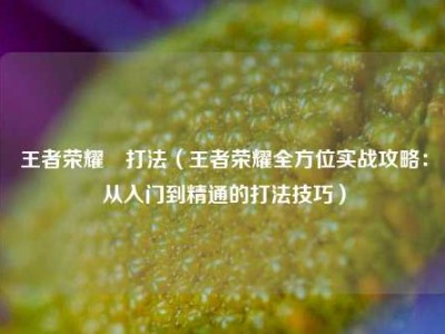 王者荣耀暃打法（王者荣耀全方位实战攻略：从入门到精通的打法技巧）